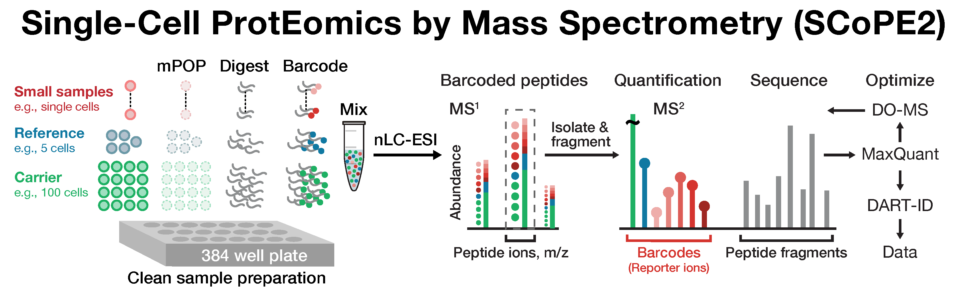 Single-cell proteomics by Mass-spec (SCoPE-MS)