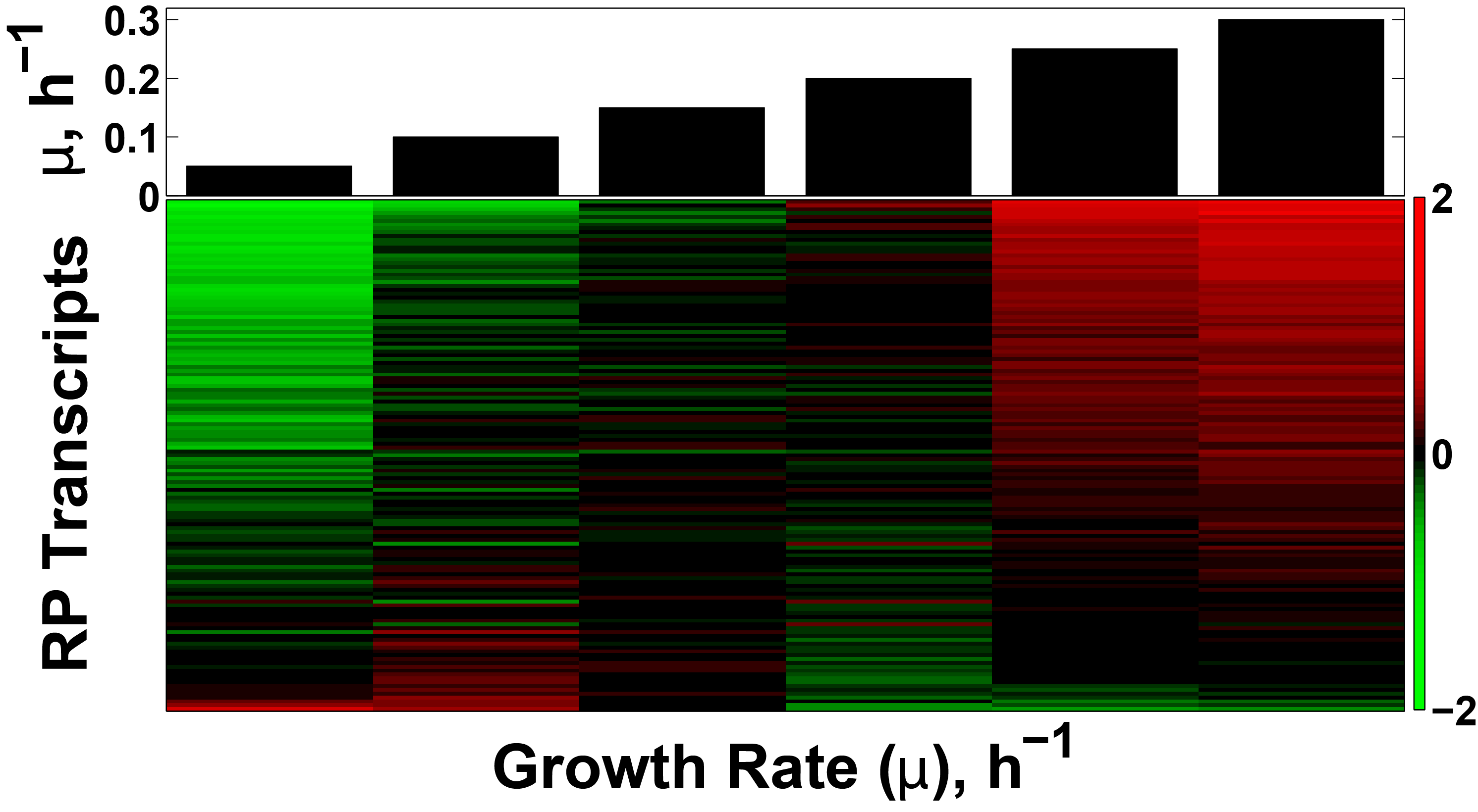 Transcriptional growth rate response of the ribosomal proteins